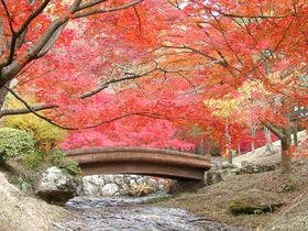 たつの市国民宿舎　志んぐ荘