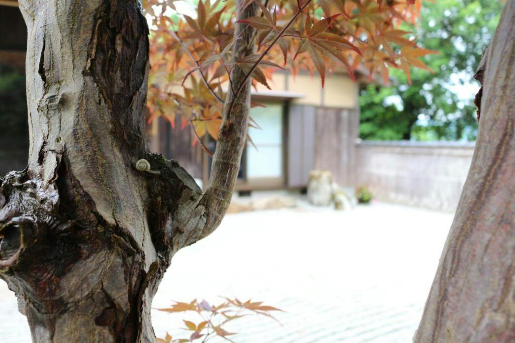 Takeda Base Inn