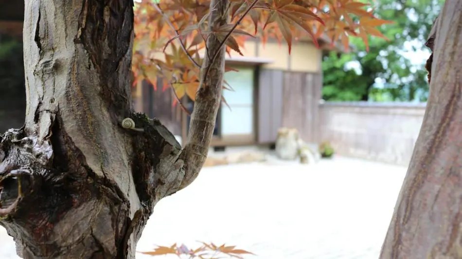 Takeda Base Inn