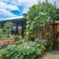 ต้นไม้หน้าทางเข้า