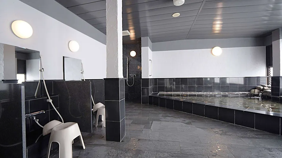 Hotel New Gaia Yakuin