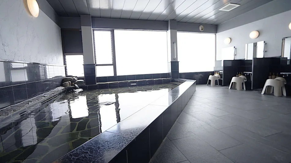 Hotel New Gaia Yakuin