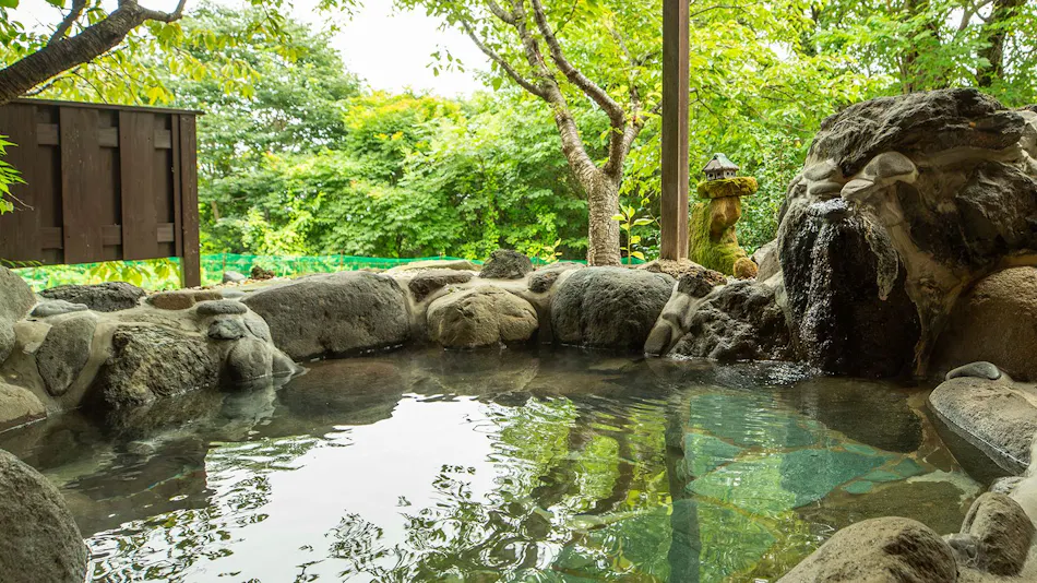 Quill – An Accommodation Where You Can Stay with Your Pet –