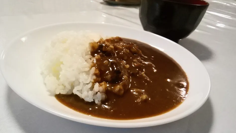 Ota Daiichi Hotel
