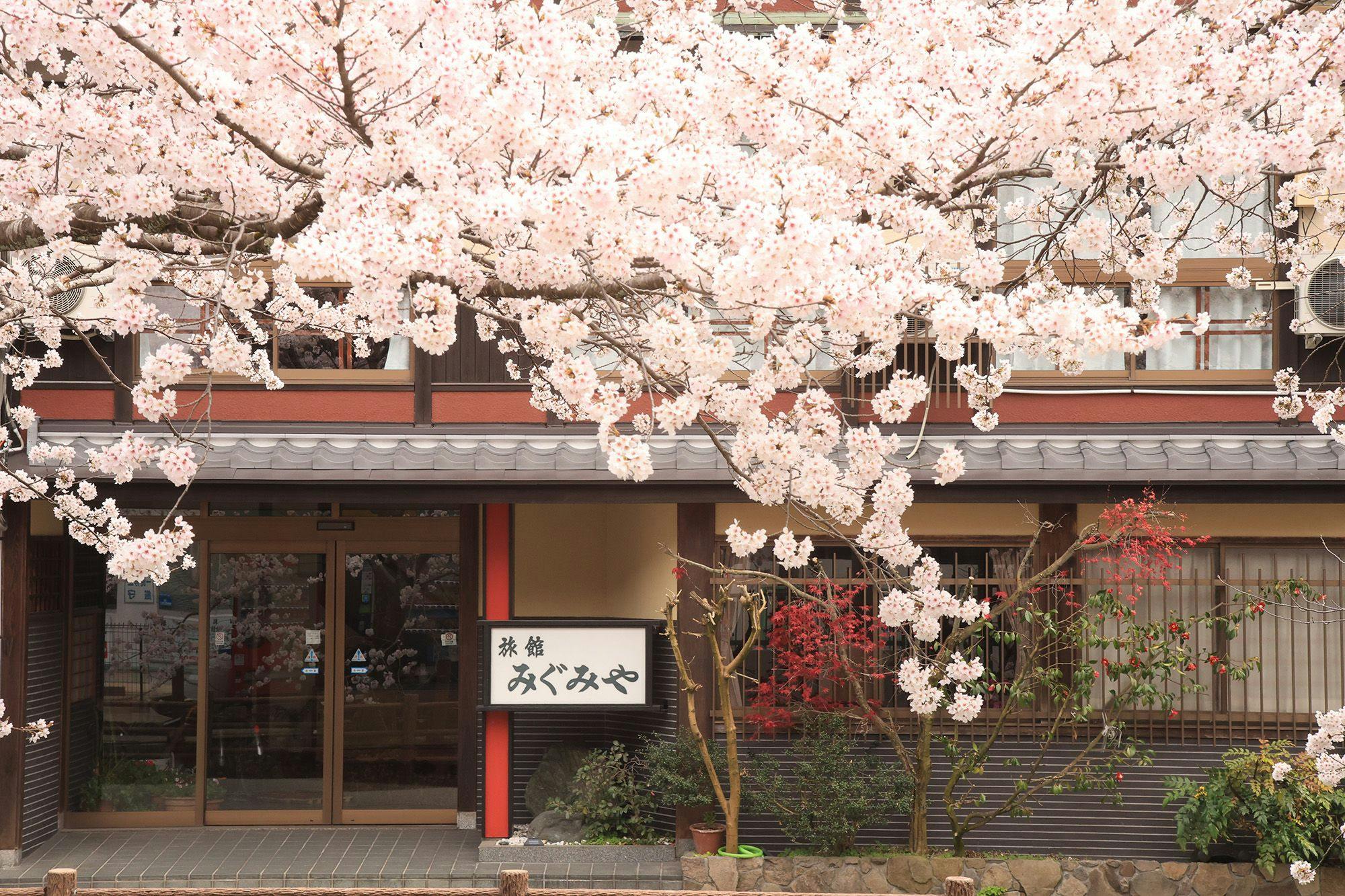 施設画像