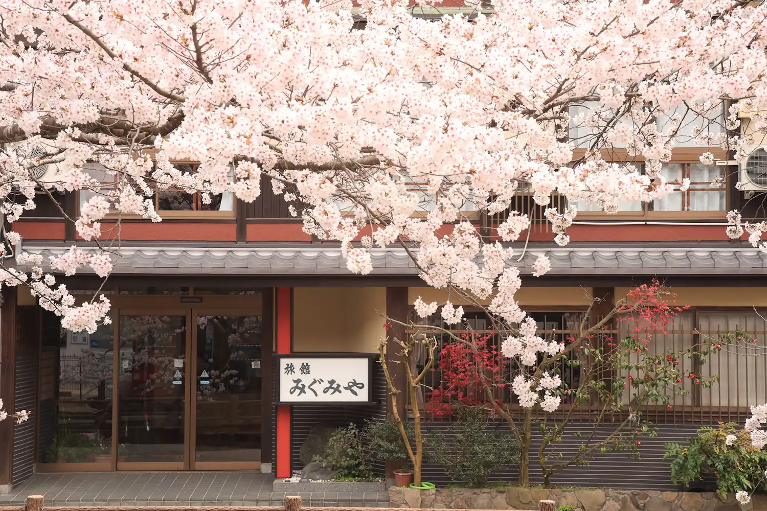 施設画像