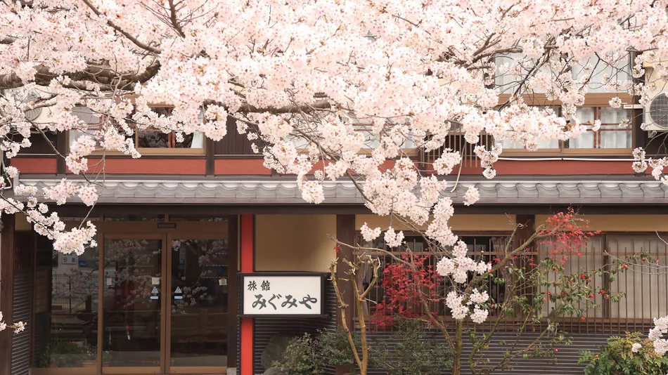 Migumiya Ryokan