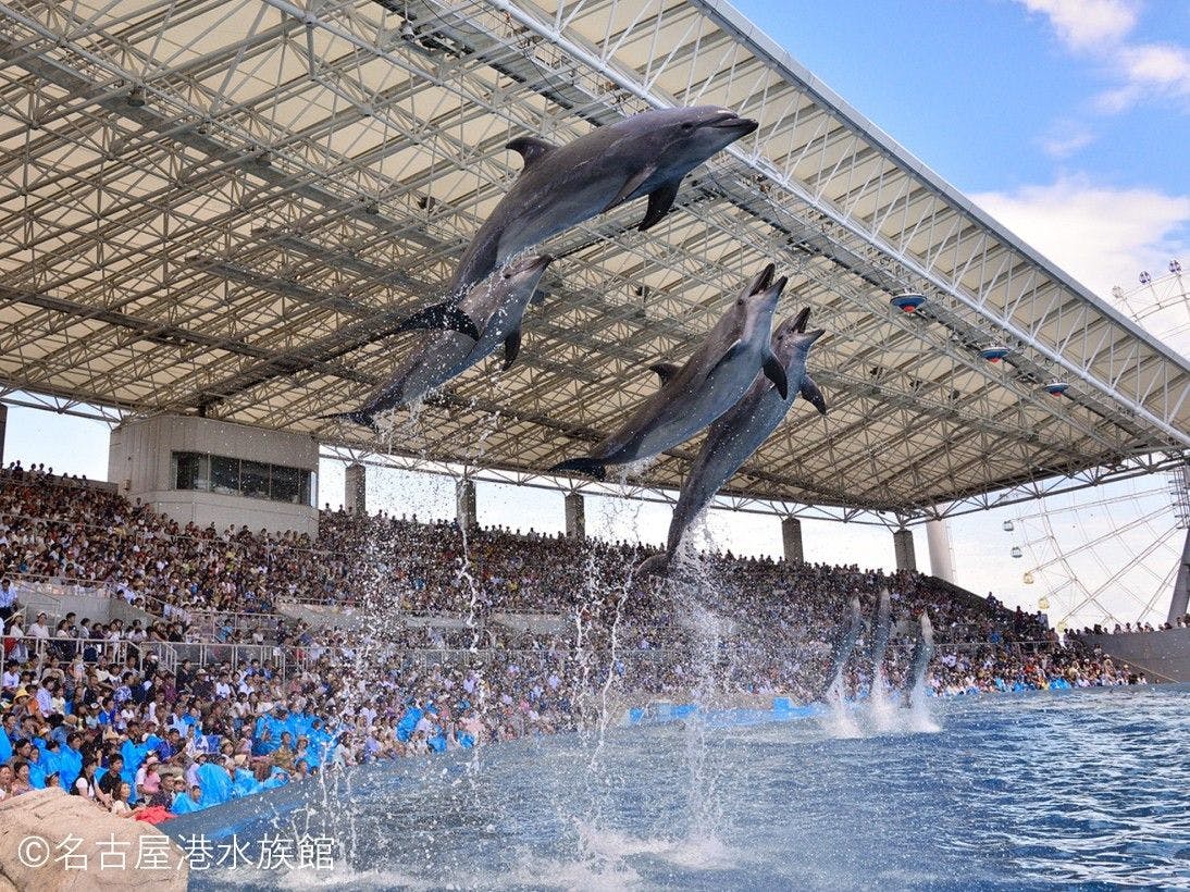 【家族旅行応援】 名古屋港水族館チケット付＆小学生以下添い寝のお子様朝食無料