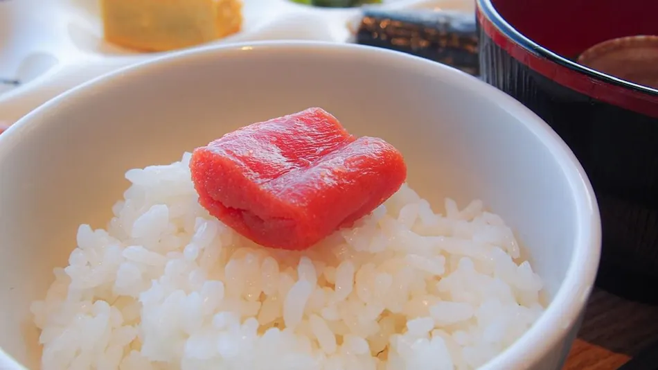 Hotel Emisia Sapporo