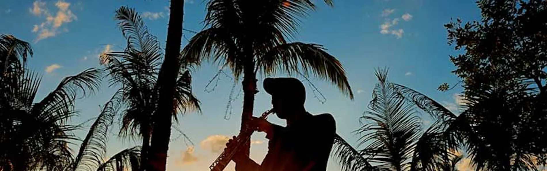 ザ・ブセナテラス