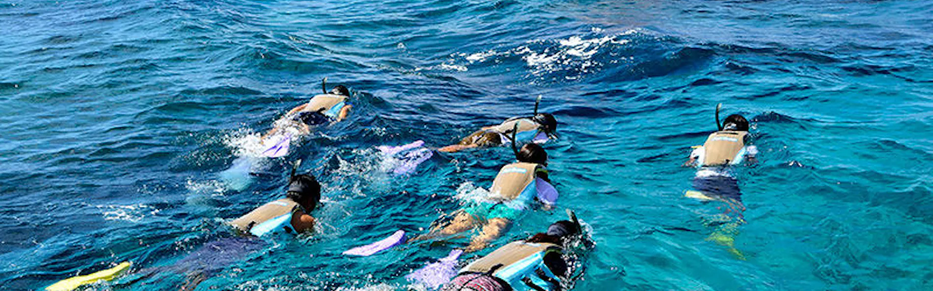 ザ・ブセナテラス