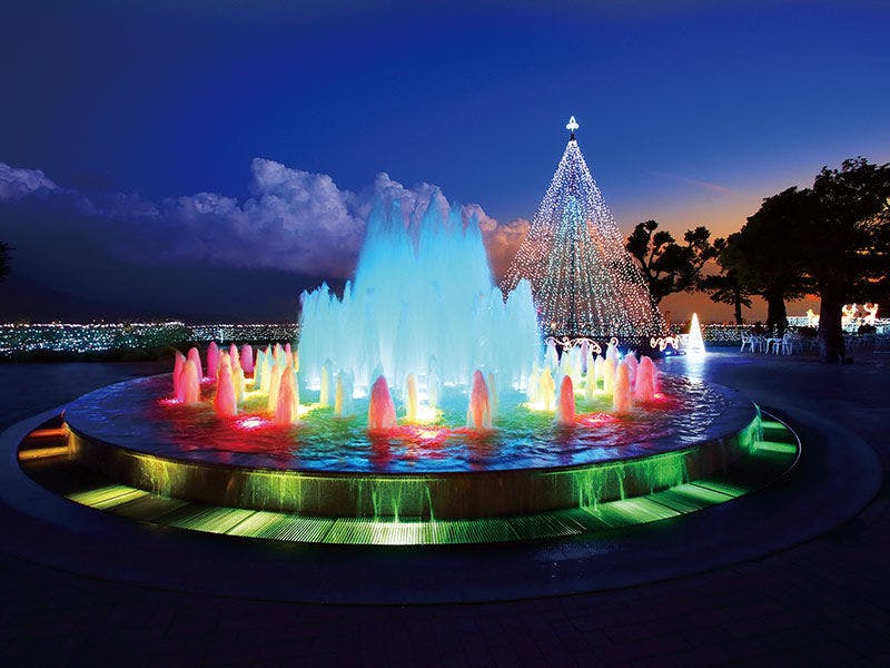 冬のシーズン限定。イルミネーション