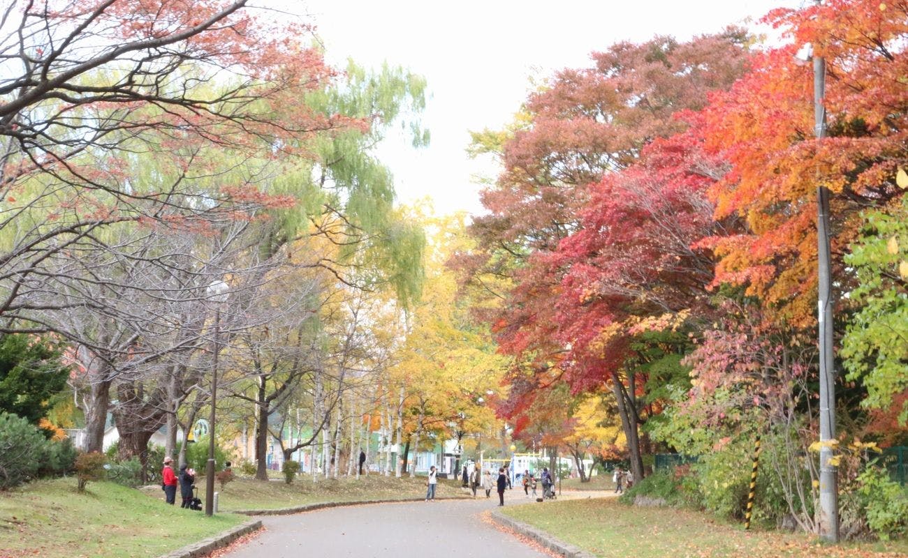 สวนสาธารณะนากาจิมะ ฤดูใบไม้ร่วง (20210216)