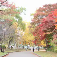 สวนสาธารณะนากาจิมะ ฤดูใบไม้ร่วง (20210216)