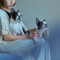Up to two small dogs are welcome.