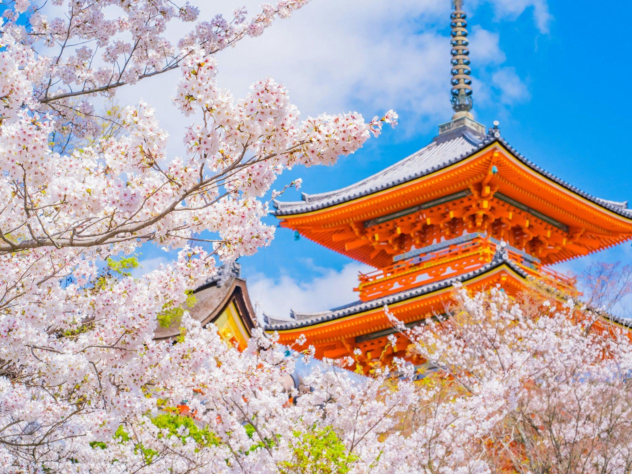 kyoto-century-hotel-early-reservation-60-days-in-advance-plan-a
