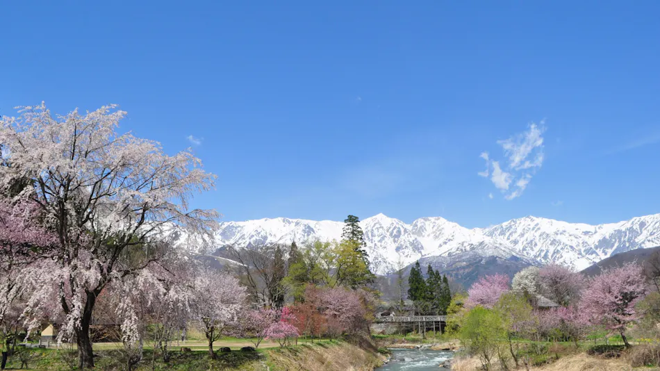 Hakuba Tokyu Hotel