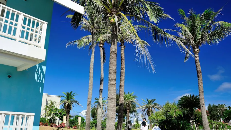 Okuma Private Beach & Resort