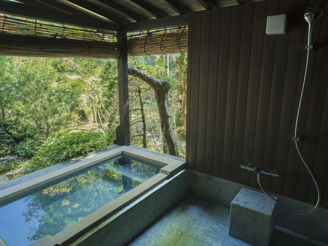 山櫻花