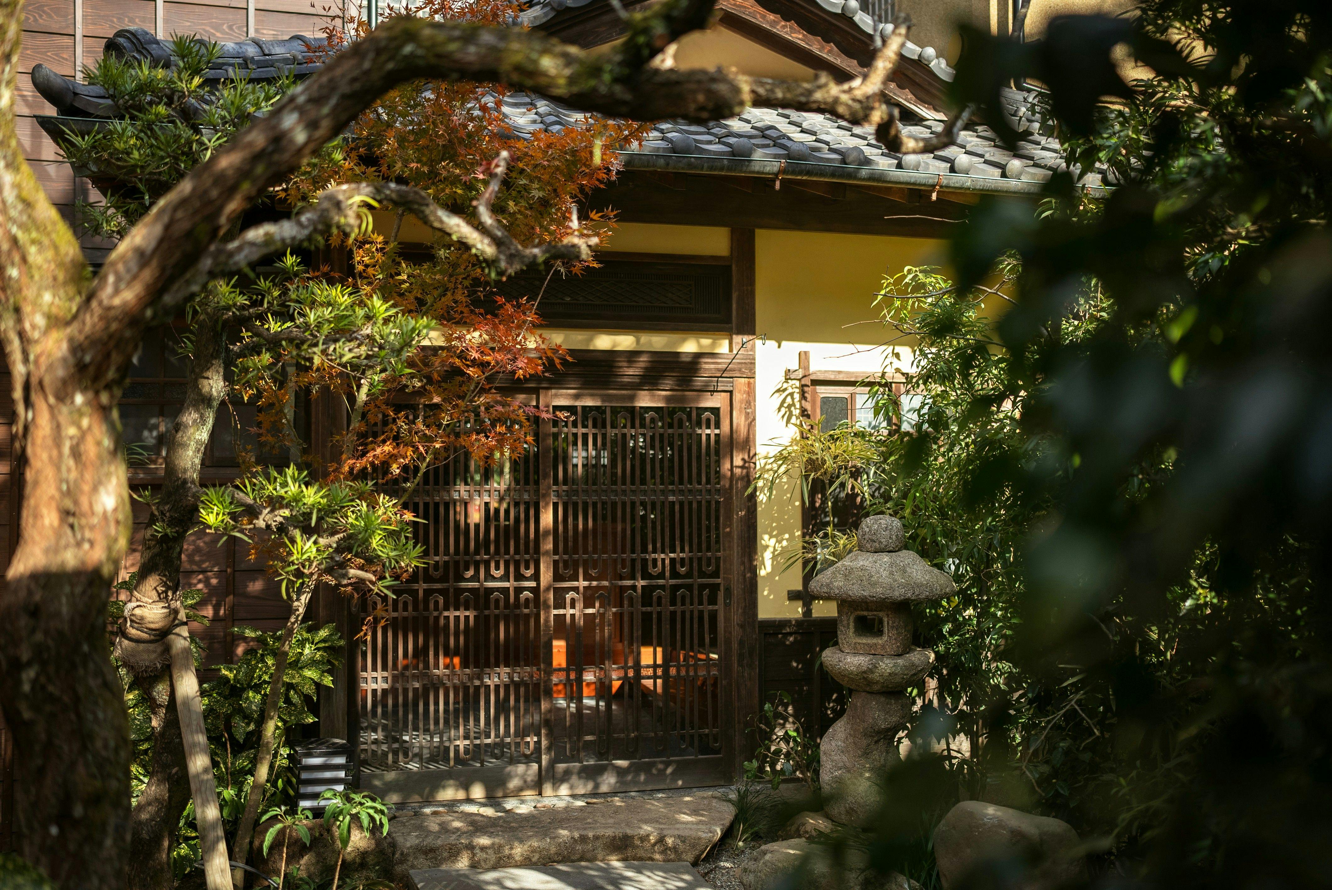 【โรโดเดนดรอน】