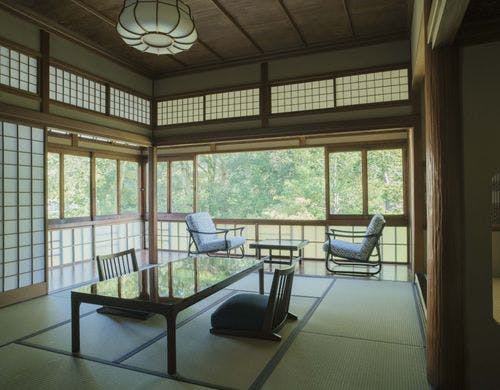 早蕨