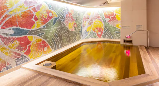 早期割60プラン【15%OFF】プール&天然温泉でエンジョイ<素泊り>