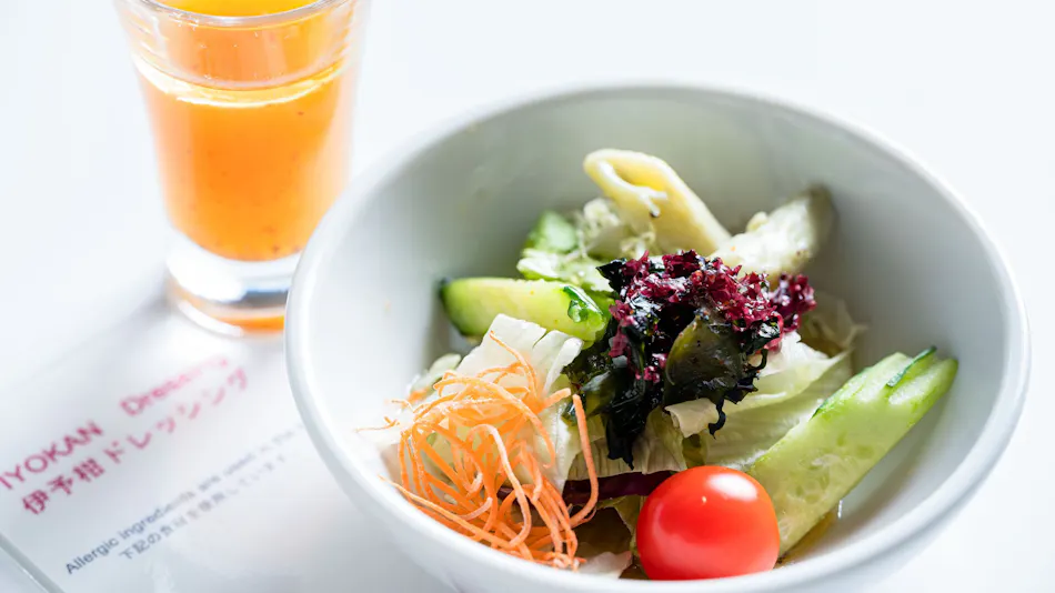 ANA Crowne Plaza Hotel Matsuyama