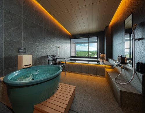 サウナ水風呂付和洋室