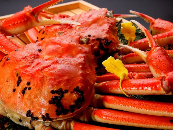 あわら温泉　グランディア芳泉