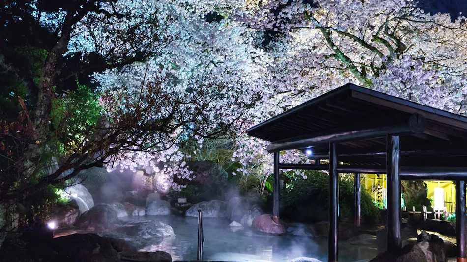 Shogawa Onsen Furuamidou Zashiki Yumetsuzuri