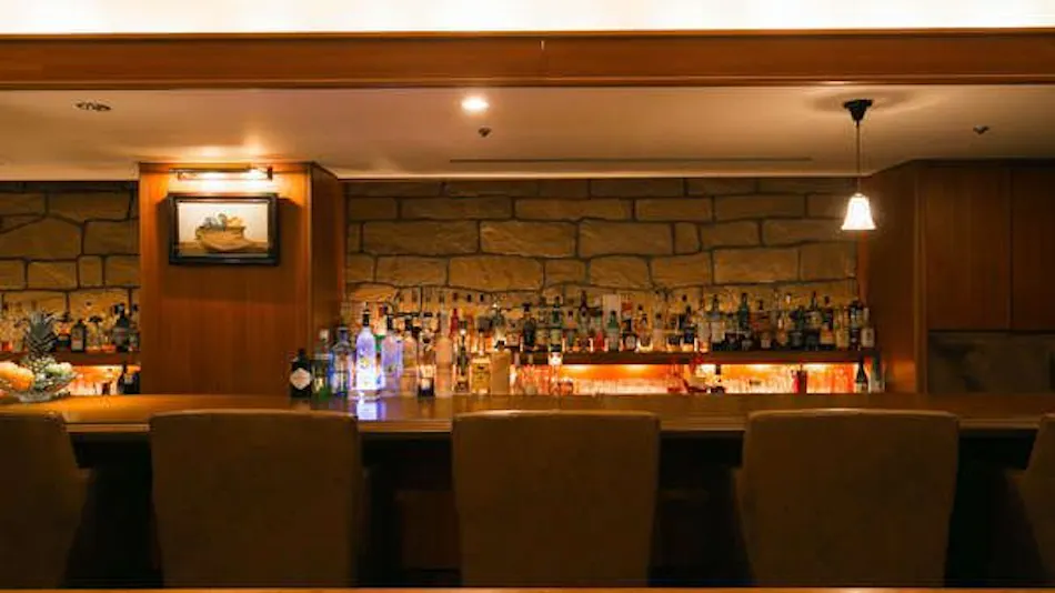 Fukuyama New Castle Hotel