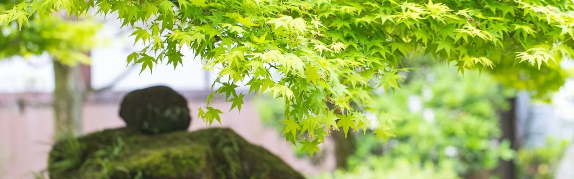 萩の宿 常茂恵