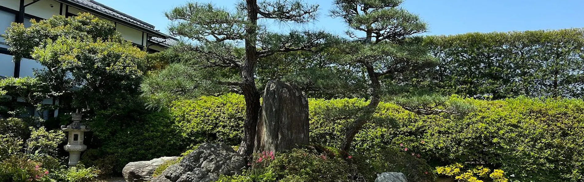 萩の宿 常茂恵