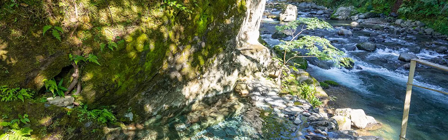 白壁 和とモダンが織りなす里山の古民家