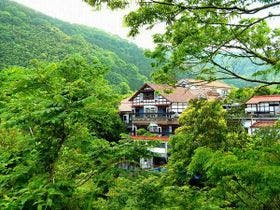 白壁 和とモダンが織りなす里山の古民家
