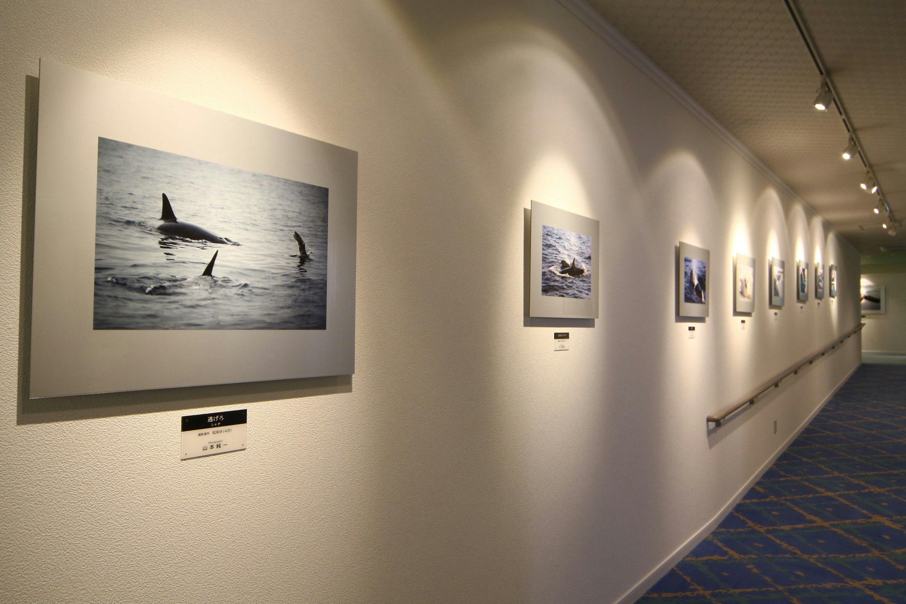 館内の通路ギャラリー