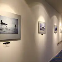 館内の通路ギャラリー