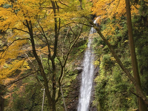 ■養老の滝■ 遊季の里より徒歩３分。