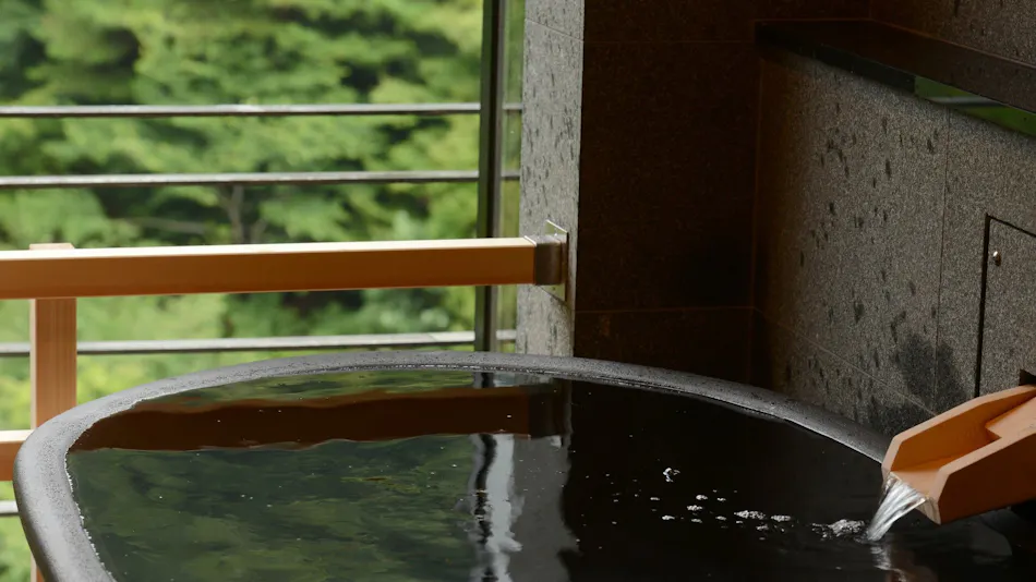 Arima Onsen Gekkoen Korokan