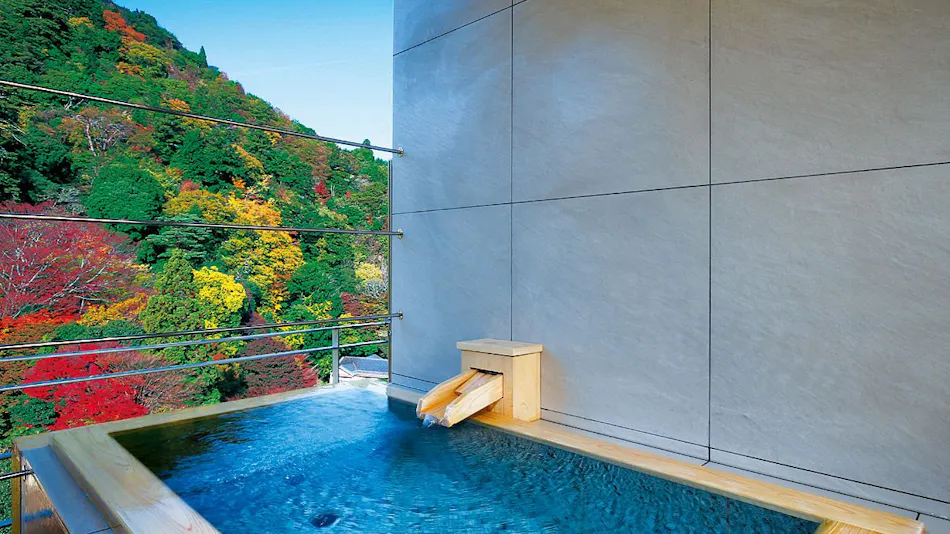 Arima Onsen Gekkoen Korokan
