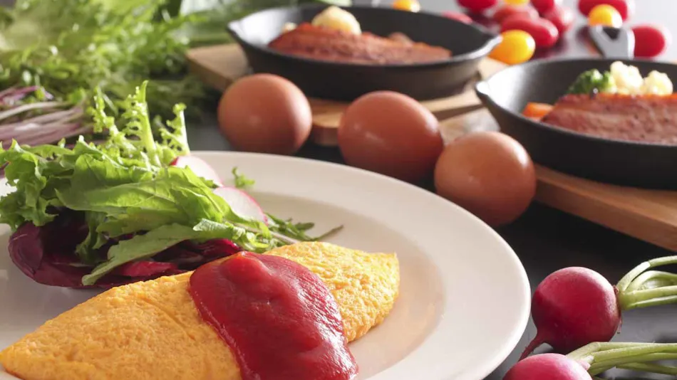 히다 다카야마 온천 다카야마 그린 호텔