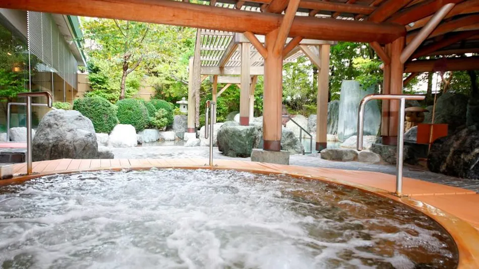 Hida Takayama Onsen Takayama Green Hotel