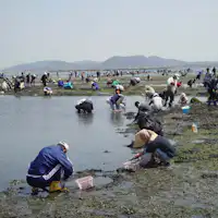 潮干狩り
