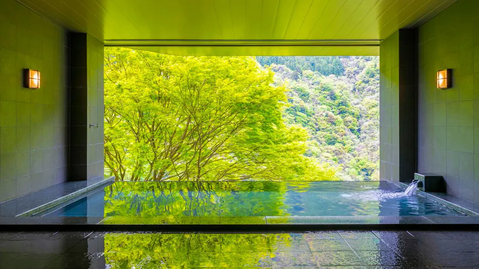Hotel Iya Onsen