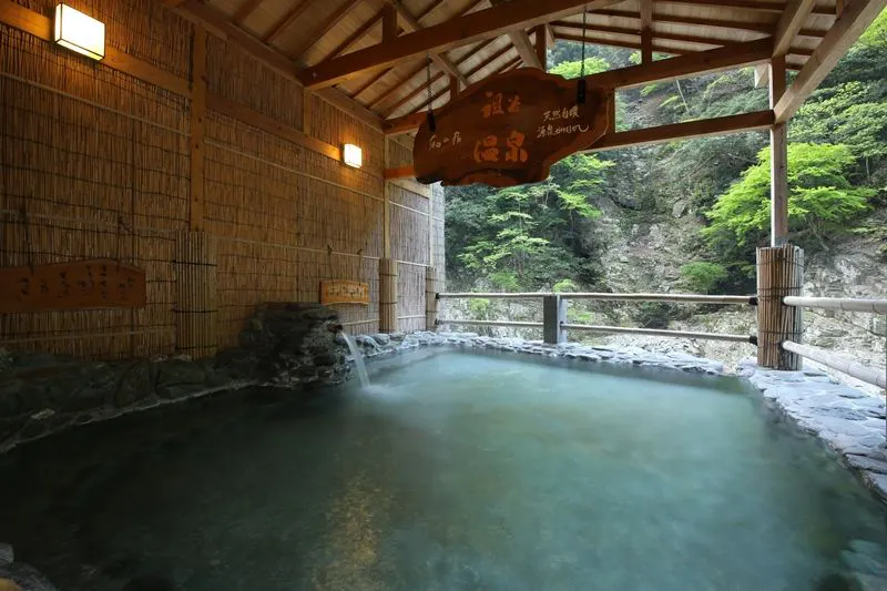 和の宿 ホテル祖谷温泉