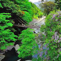 สะพานคาซูราบาชิที่อิยะ