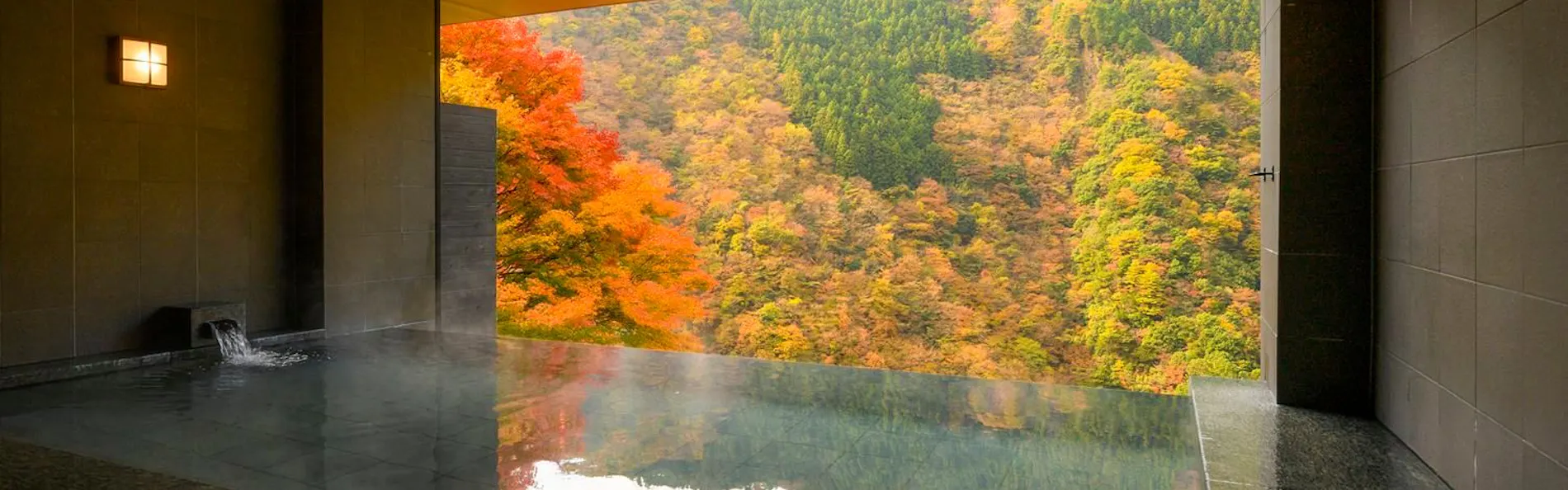和の宿 ホテル祖谷温泉