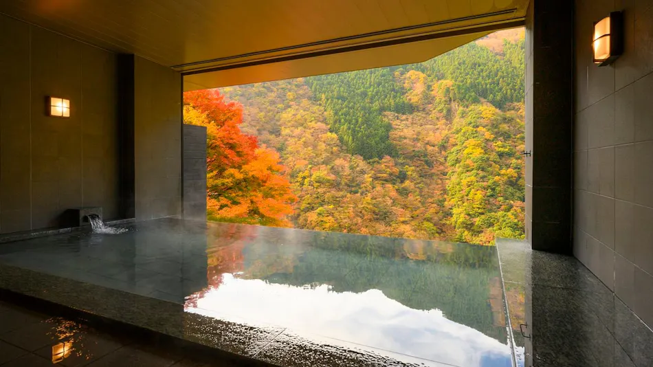 Hotel Iya Onsen