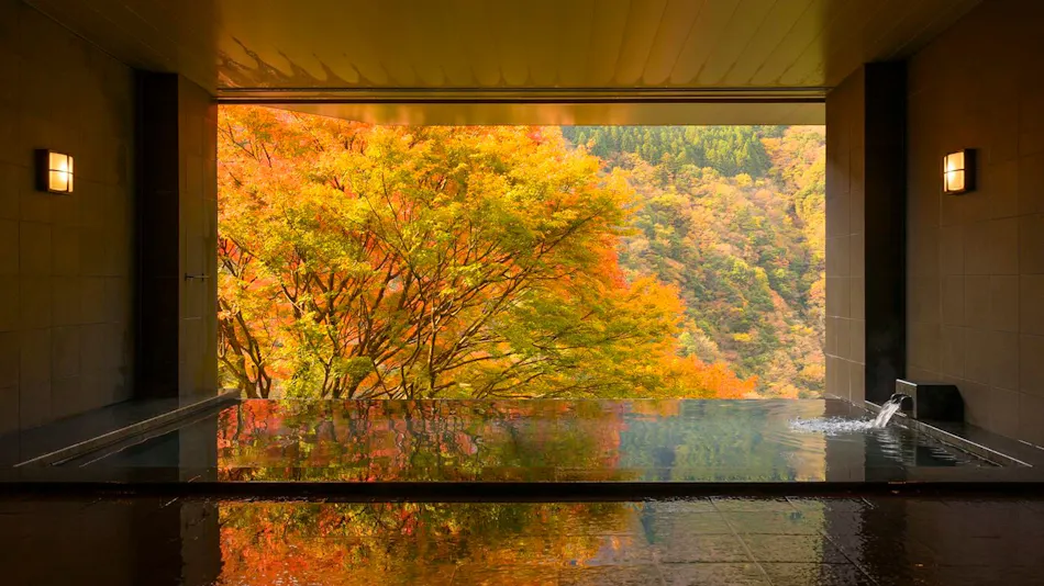 Hotel Iya Onsen