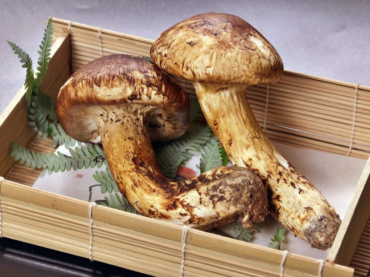 竹林院群芳園